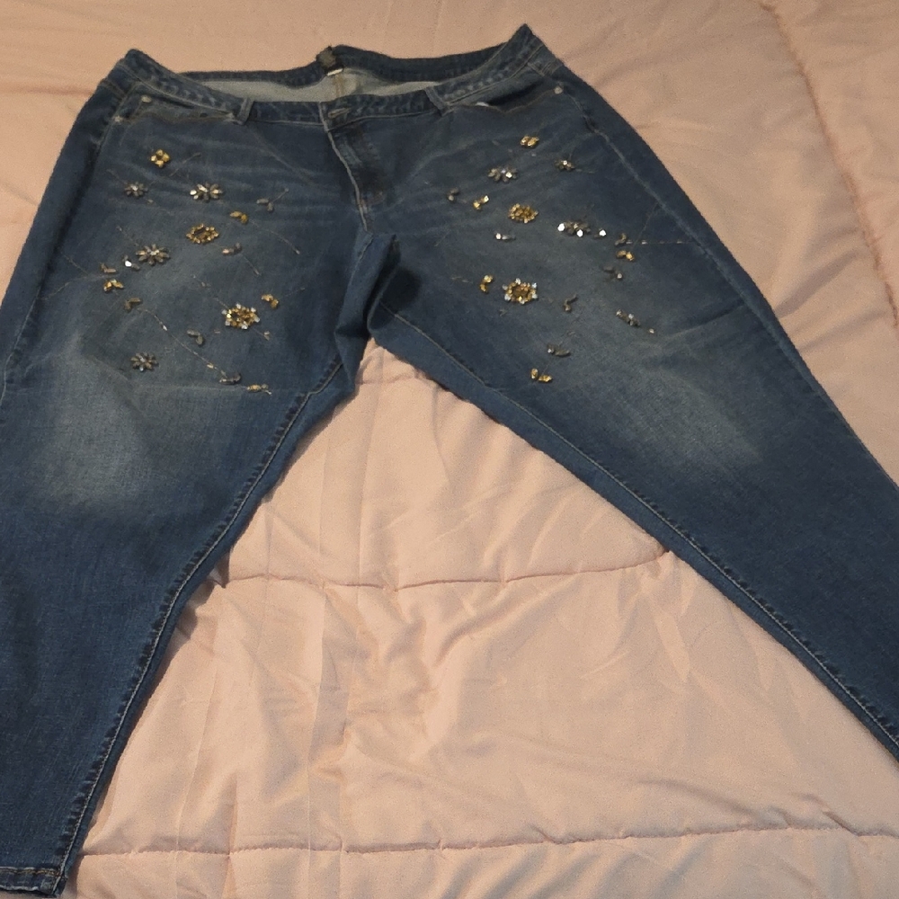 Lane Bryant Blue Skinny Jeans with Embellishments